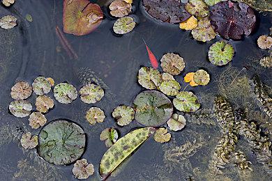 开发商预告明年会有《ToHeart》《传颂之物》新作